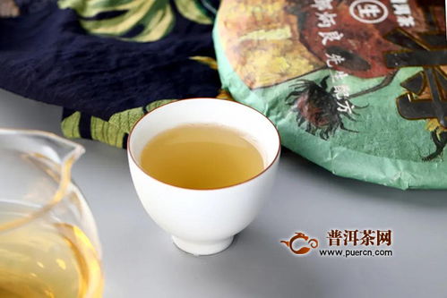 海灣茶業老同志2020年茗將