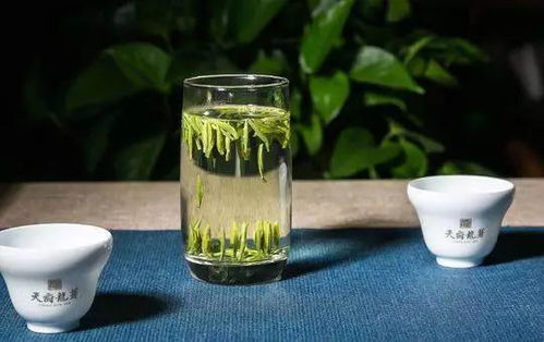 天府龍芽 攜四川主產(chǎn)茶區(qū) 三山一早 公共品牌登陸紐約時(shí)報(bào)廣場(chǎng)