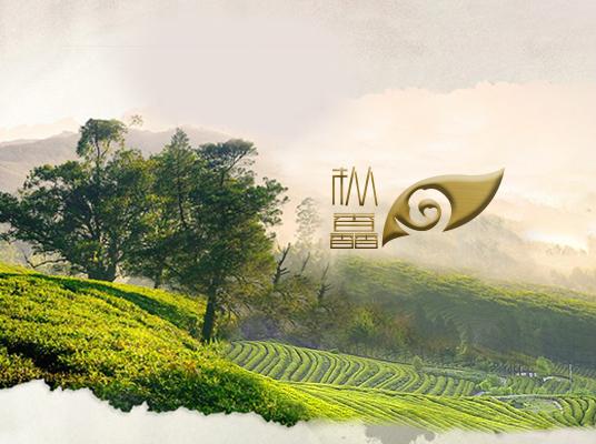 網站建設案例-深圳樅馫茶業