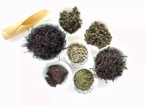 2017北京國際茶業(yè)展