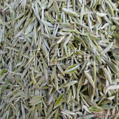 【福建禾佳2017年福鼎早春白毫銀針太姥銀針散裝陳茶500g廠家直銷HJ-17042803】福鼎禾佳農業專業合作社 - 產品庫