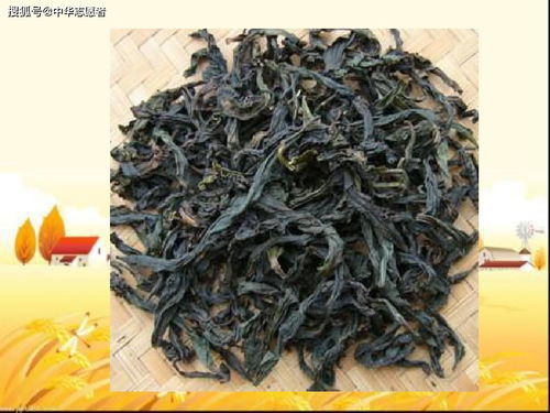 明清茶業(yè) 從生產(chǎn)興盛到文化精致